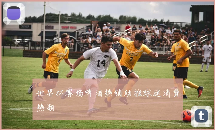 世界杯赛场啤酒热销助推球迷消费热潮