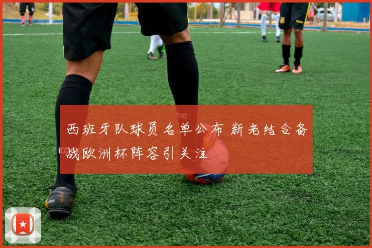 西班牙队球员名单公布 新老结合备战欧洲杯阵容引关注